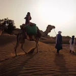 Circuit désert privé 2 jours à Zagora : caravane de dromadaires sur les dunes basses au coucher du soleil
