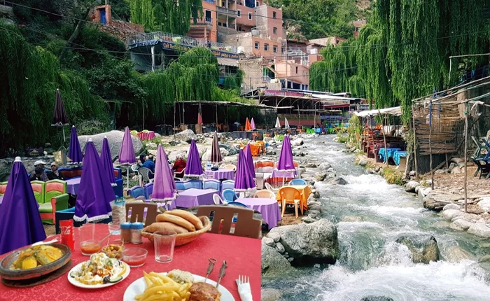 1-Day Private Trip to Ourika Valley Guided Trip with Lunch