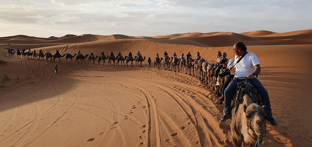 Longue caravane de dromadaires traversant les hautes dunes orangées de l'Erg Chebbi près de Merzouga