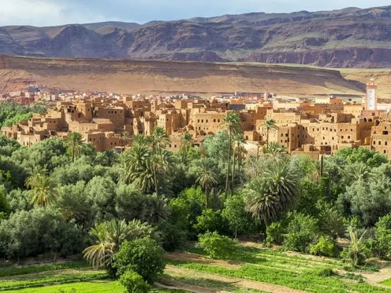 The cliffs of the Todgha gorge rising above the oasis of Tinghir