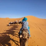 Circuit désert privé 4 jours : caravane de dromadaires dans les dunes de l'Erg Chebbi