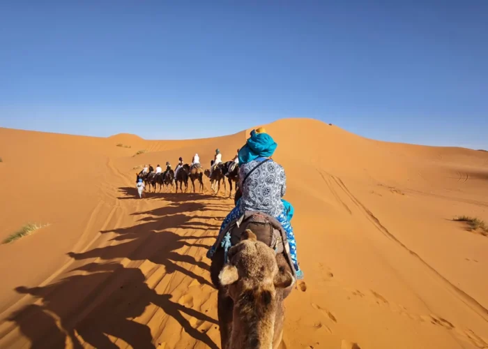 4 days desert tour from Marrakech to Merzouga: camel caravan crossing the Erg Chebbi dunes