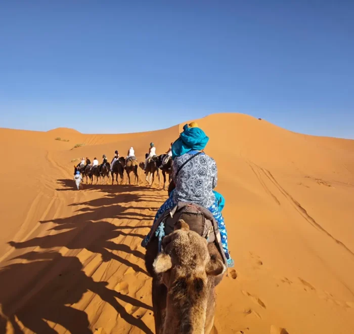 Circuit désert privé 4 jours : caravane de dromadaires dans les dunes de l'Erg Chebbi