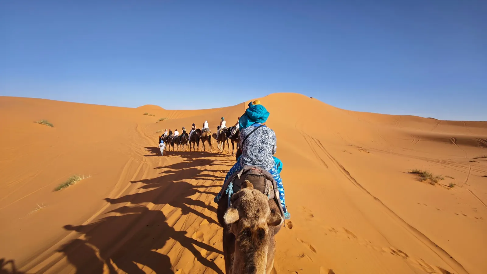 Circuit désert privé 4 jours : caravane de dromadaires dans les dunes de l'Erg Chebbi