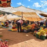 Weekly Berber market under canopies with the Atlas foothills behind
