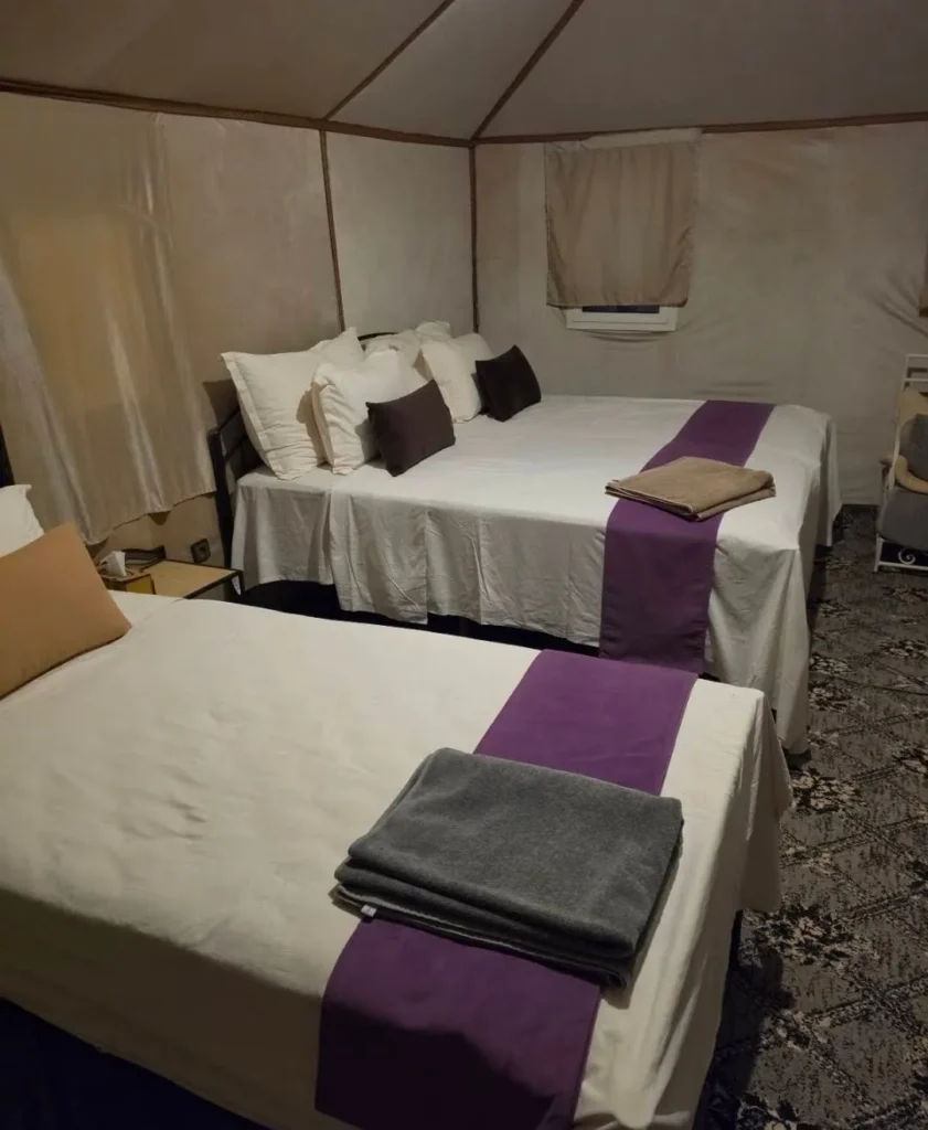 Luxury tent with twin beds at the Zagora desert camp